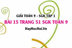 Giải bài 15 trang 51 SGK Toán 9 tập 1